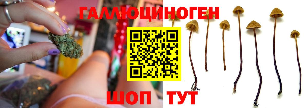 Галлюциногенные грибы Magic Shrooms Лабытнанги